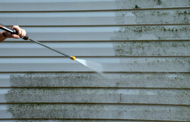 Reliable Forrest, IL Pressure Washing Services Solutions